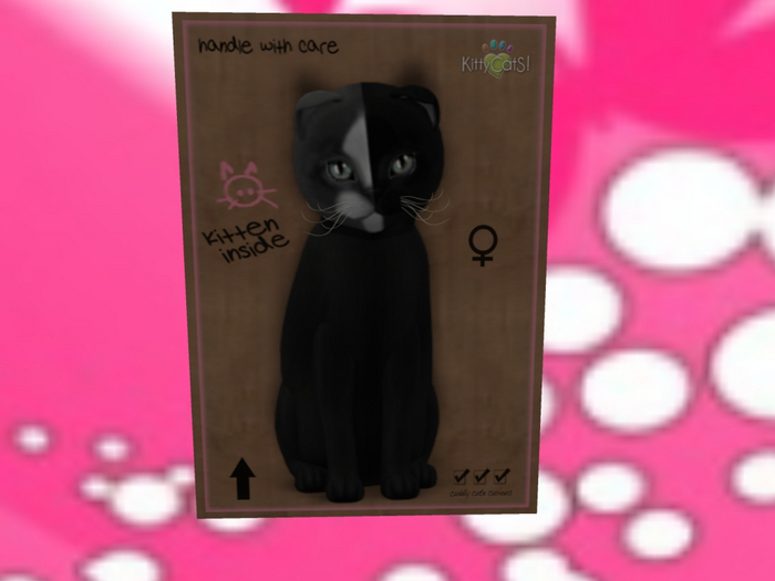 KittyCatS Box - you may need a chimera girl