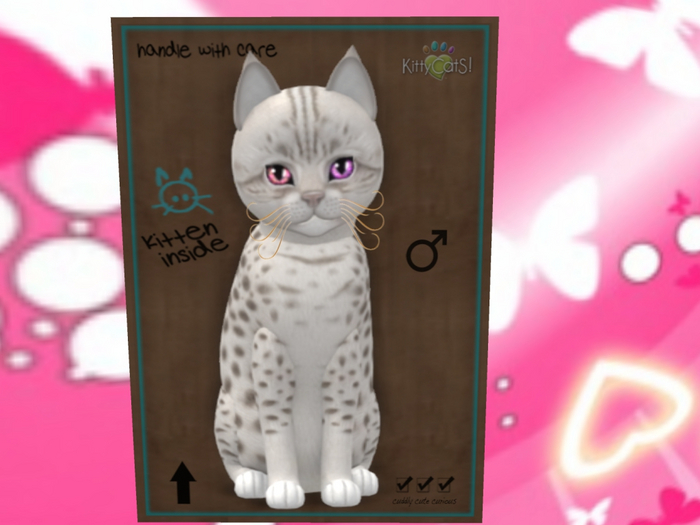 KittyCatS Box - =OciPlat OdyMagic Blu Snap Tftd Fla Dre 8T M