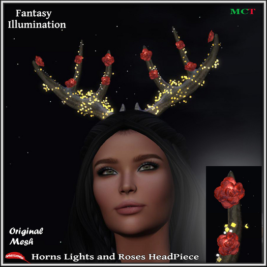 Horns Lights