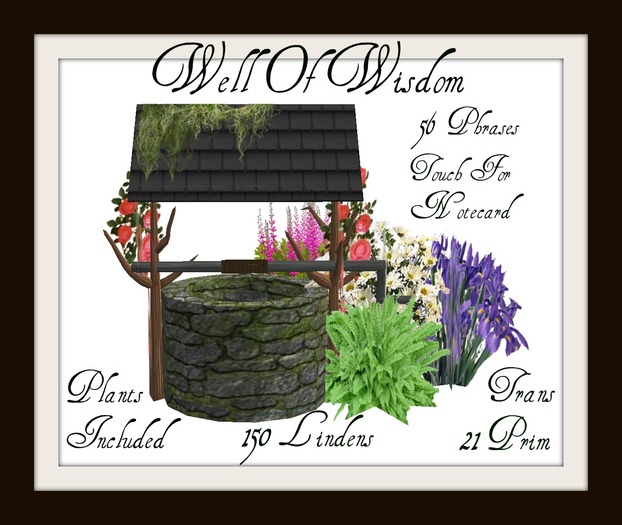 Well Of Wisdom With Plants BOXED