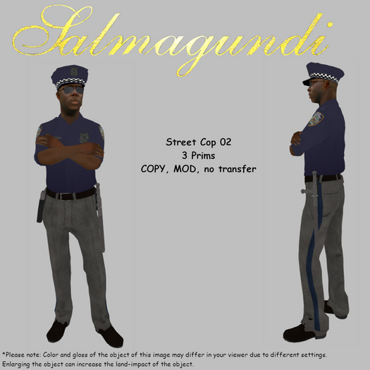 Street Cop 02