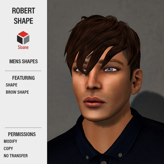 Sloane . Shapes . Robert