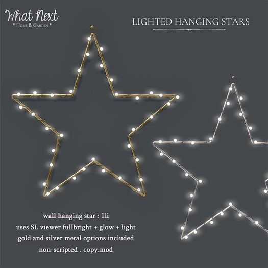 {wn} Lighted Hanging Star (boxed)