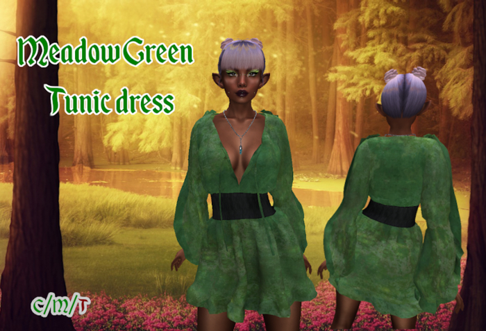Meadow Green Tunic dress