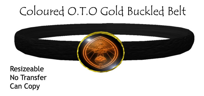 Color O.T.O.  - Gold Buckle - Black Leather Belt (resize) Box