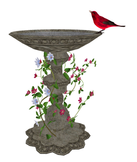 Bird Bath with Animated Red Drinking Bird