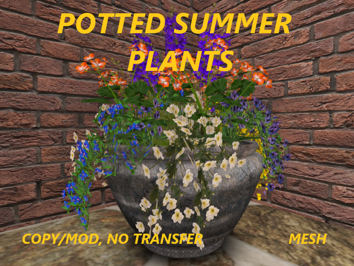 POTTED SUMMER PLANTS