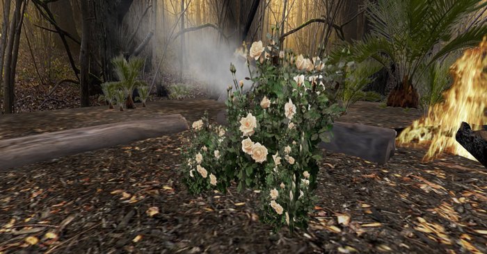 rose bush cream 133 + bonus rose bush
