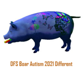 DFS Boar Autism 2021 Different