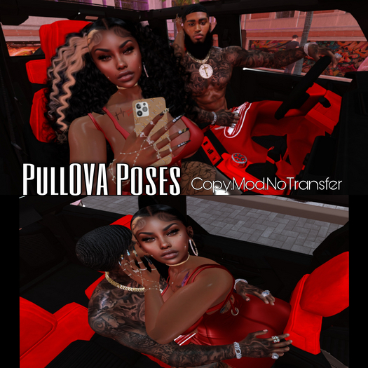 REMIX'D PULLOVA POSE