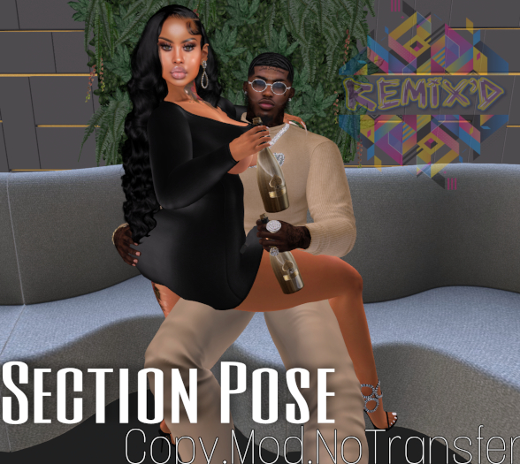 REMIX'D SECTION POSE