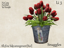 All of me Tulip arrangement [Red] By Snuggles 