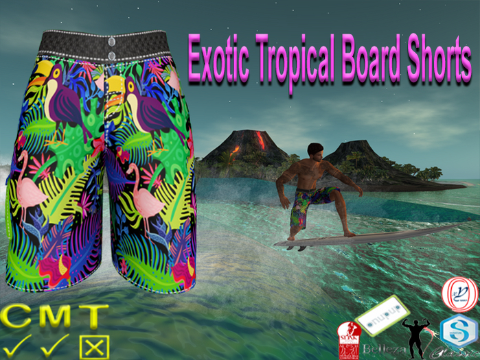 Exotic Tropical Board Shorts