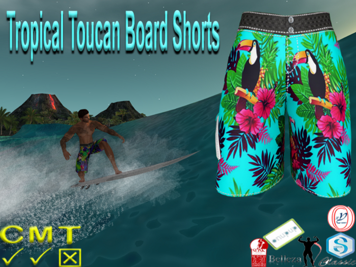 Tropical Toucan  Board Shorts