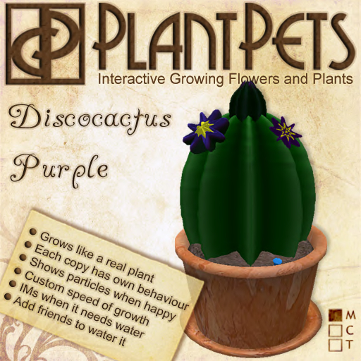 [UPDATED] PlantPet Seed [Discocactus *Purple*]
