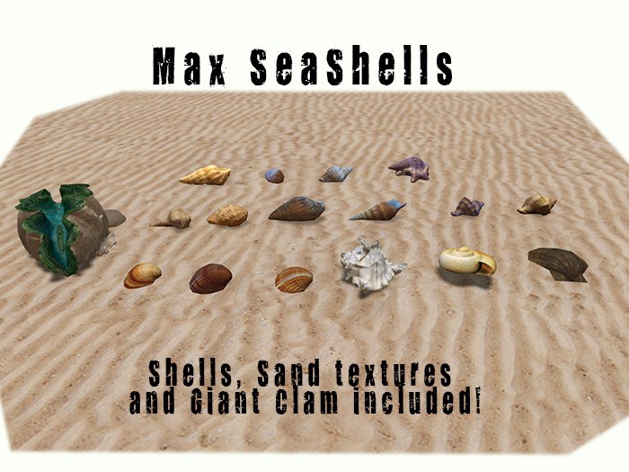 Max Seashell Set 1