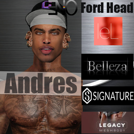 ANDRES SHAPE FORD HEAD LEL