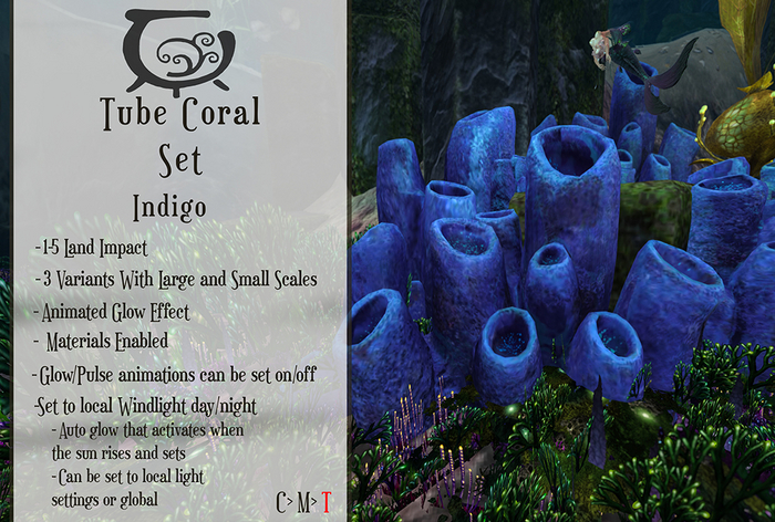 [CC] Tube Coral Set- Indigo