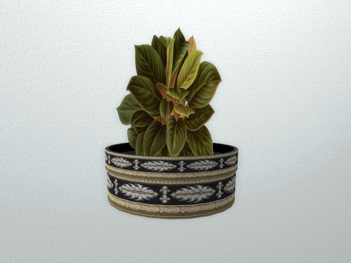 Green Plant in Ceramic Pot (3)