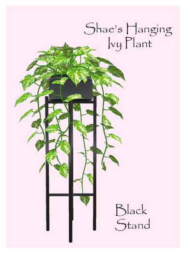 *Shae's Ivy Plant Black Stand