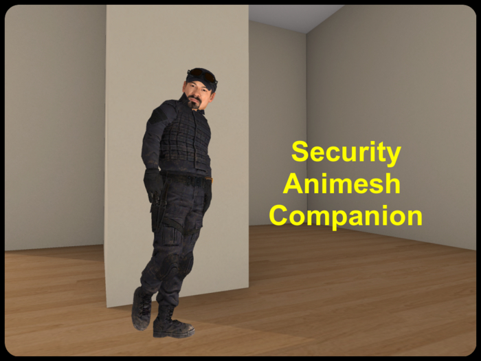 ~Security Animesh Companion~