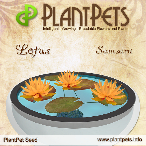 PlantPet Seed [Lotus *Samsara*]