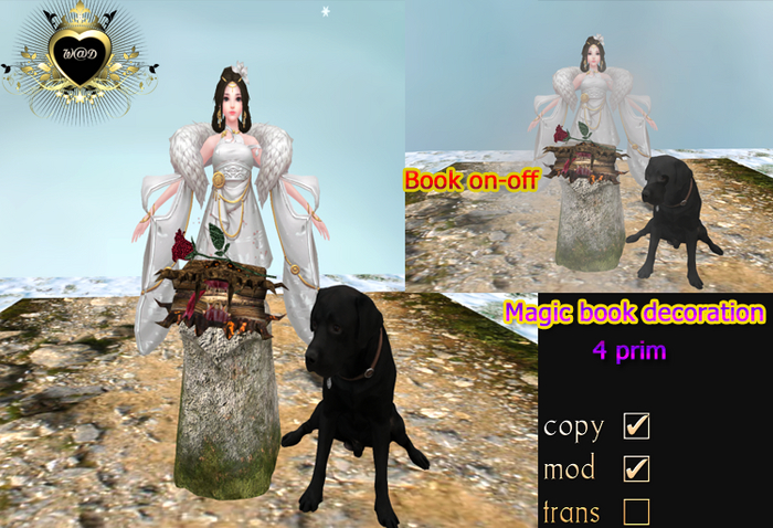 Decoration magic book(add)