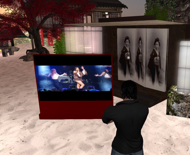 Leinwand mit Standfuss RED SLS