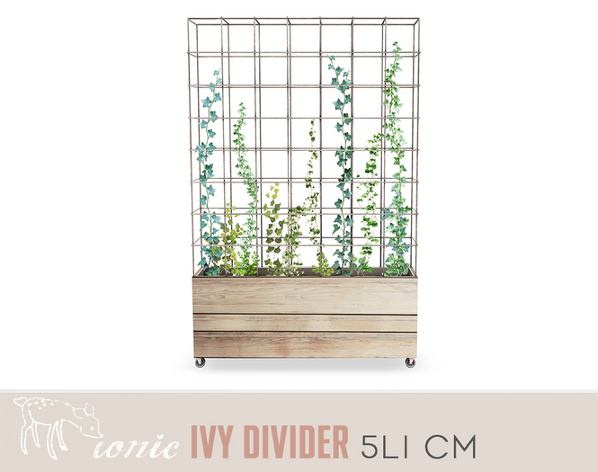 ionic : minimal needs : Ivy Divider