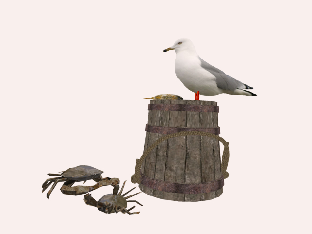 Ring-billed Gull with Fish