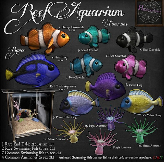 4. *HEXtraordinary* Aqua Clownfish