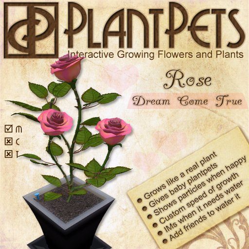 PlantPet Seed [Rose *Dream Come True*] Updated