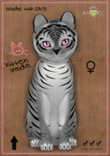 9T Tiger! Shadow - Crystal Berry