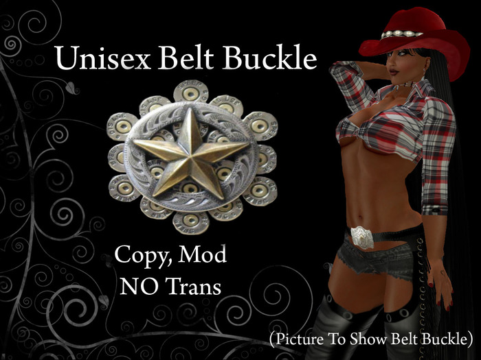 (BOXED) Silver Bullets & Star Belt Buckle