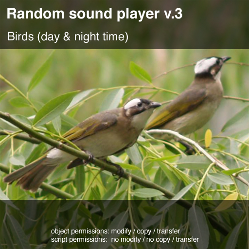 Random Sound Player v.3 - Birds (day & night time)