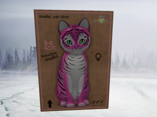 KittyCatS Box - 4T Bubblegum tiger