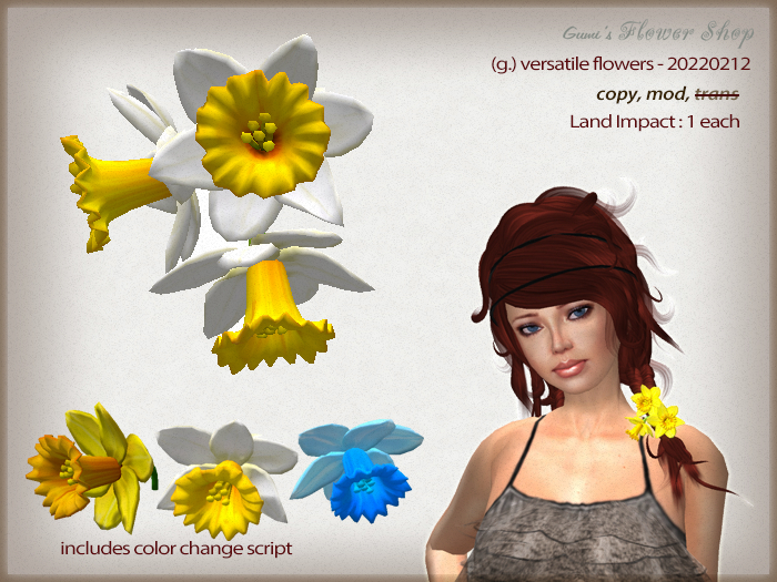 (d.) versatile flowers 20220212 - daffodils