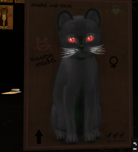 KittyCatS Box - 9 T