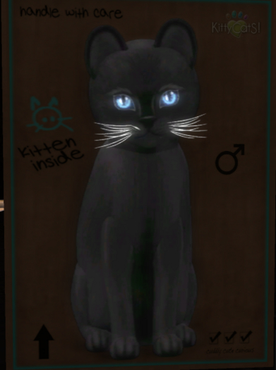 KittyCatS Box - 9 T