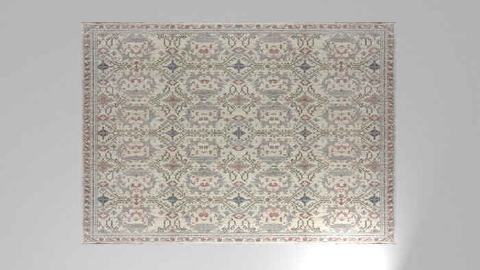 Traditional Modern Rug