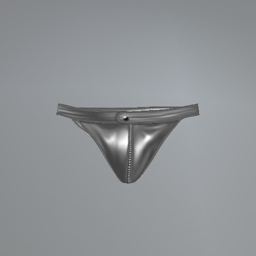 Silver Leatherman Inithium Briefs