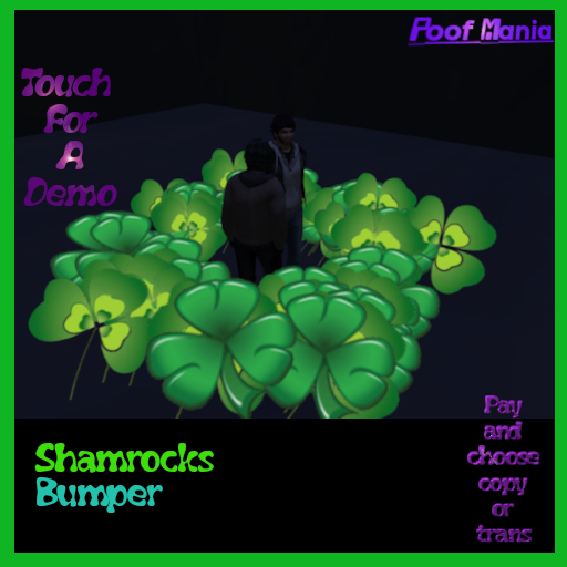 Shamrocks Bumper