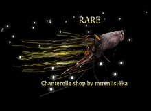 5{anc} // fish shop daughters/ SymbiosisFish[black]RezPET RARE