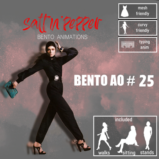 s'n'p - bento AO #25(packed)