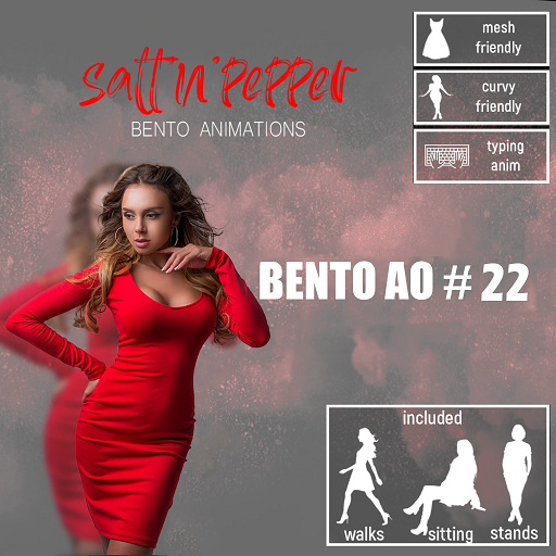 s'n'p - bento AO #22(packed)