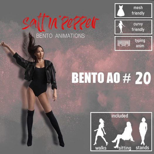 s'n'p - bento AO #20(packed