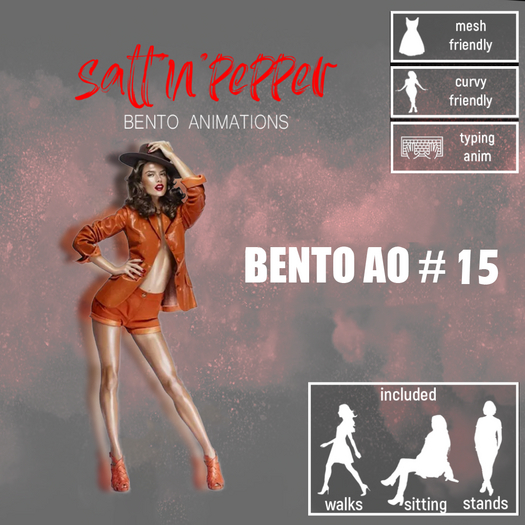s'n'p - bento AO #15(packed)