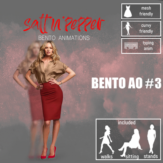 s'n'p - bento AO #3(packed)