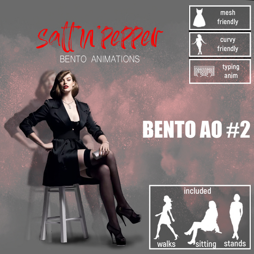 s'n'p - bento AO #2(packed)