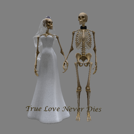 Forever Together Mesh Bridal Skeleton Couple